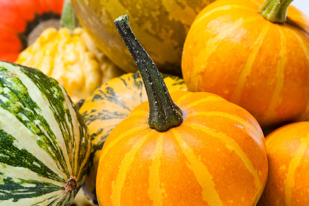 Pumpkin Spice October Magic