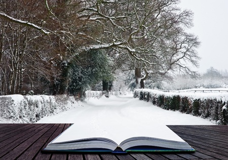Winter Reading Book Recommendations