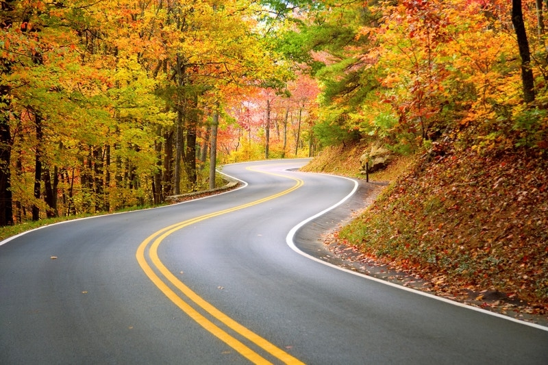 Are you Ready for a Trip Your Family Will Love this Fall