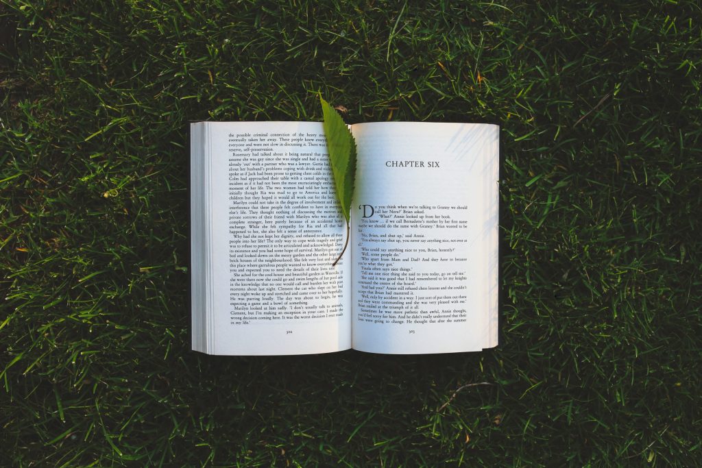 Bombshell Whims Picks for Books you Should Read