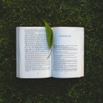 Bombshell Whims Picks for Books you Should Read