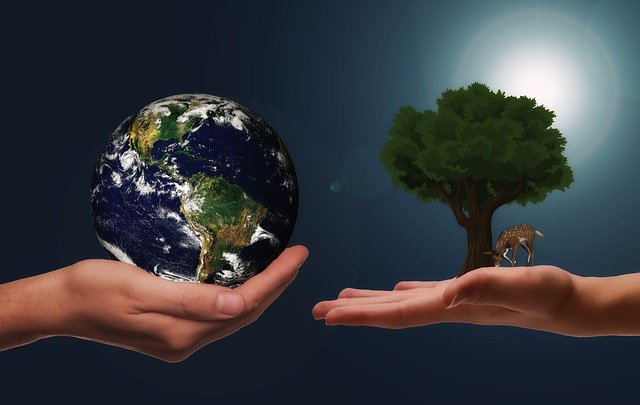 Sustainable Styles to Use - Celebrate Earth Day April 22nd