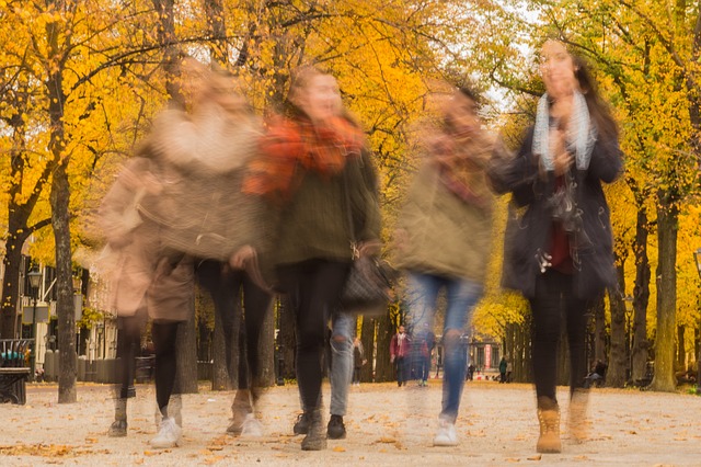 Fall into Autumn
