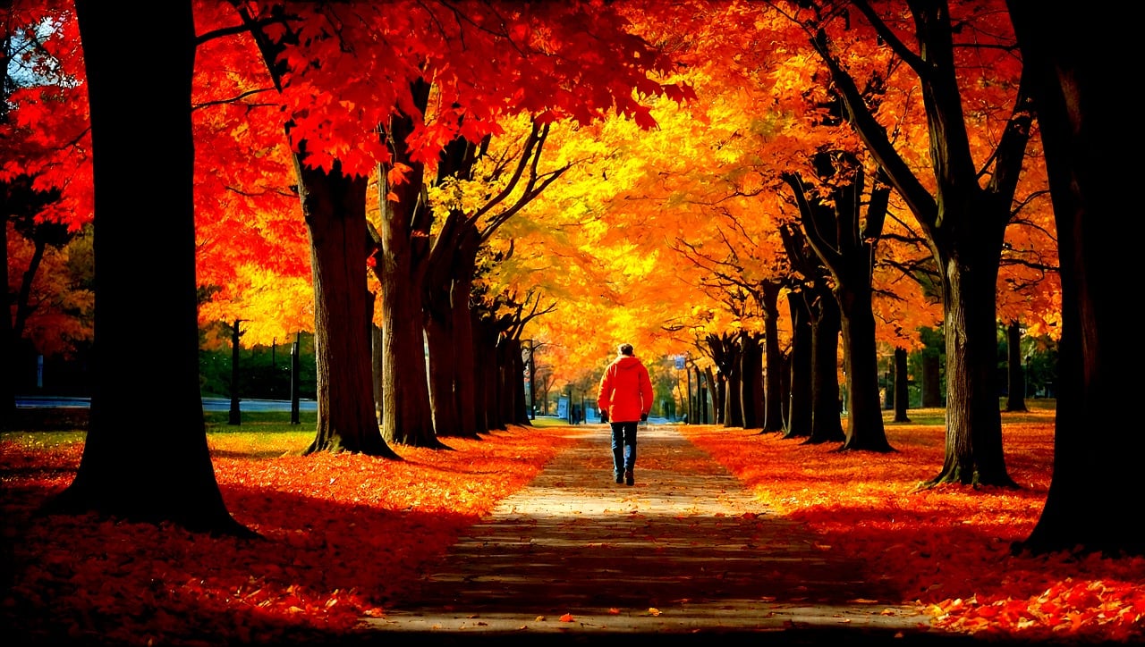 10 Reasons Fall is the Best Season